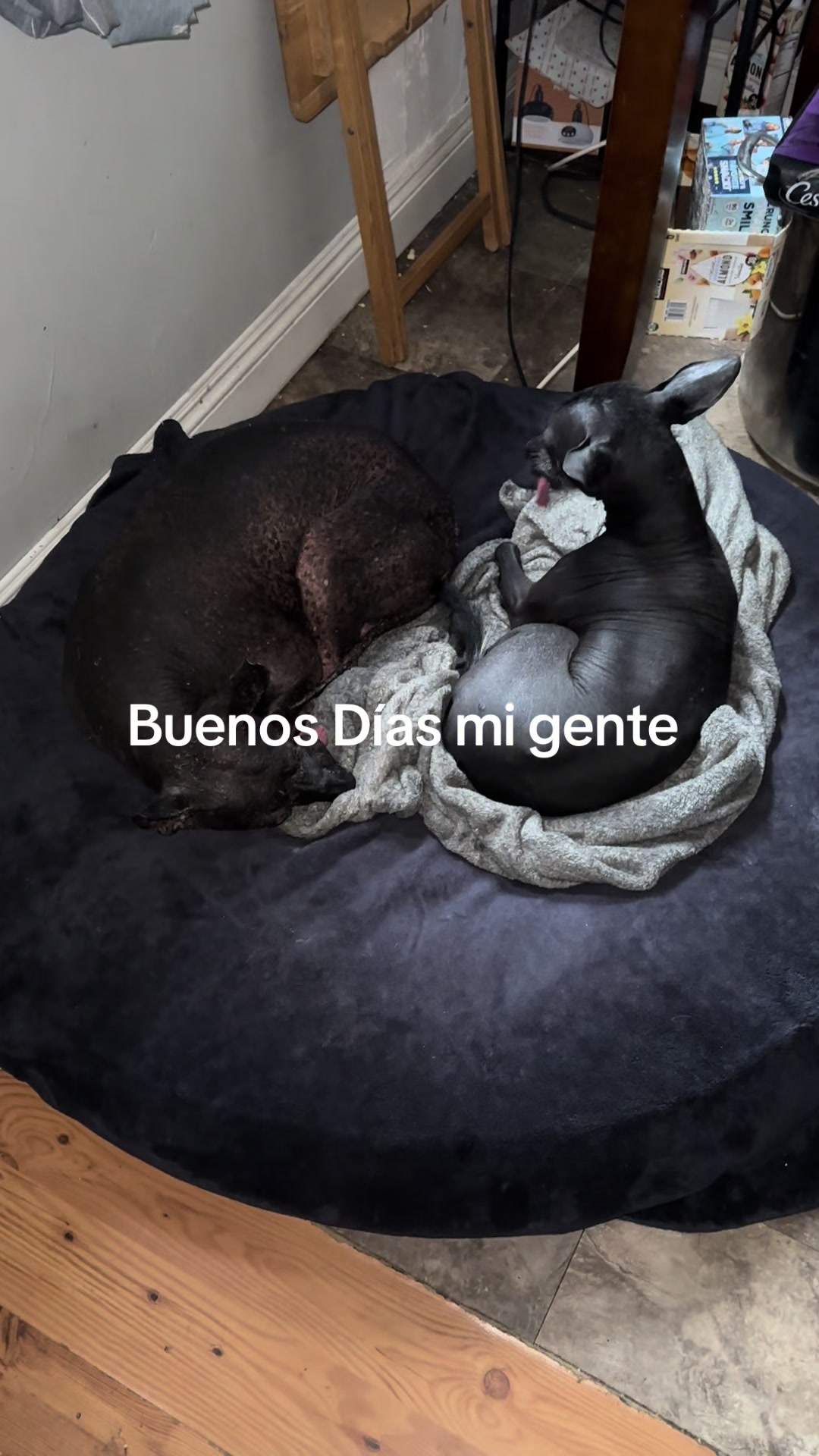 @Elcharitoopemex