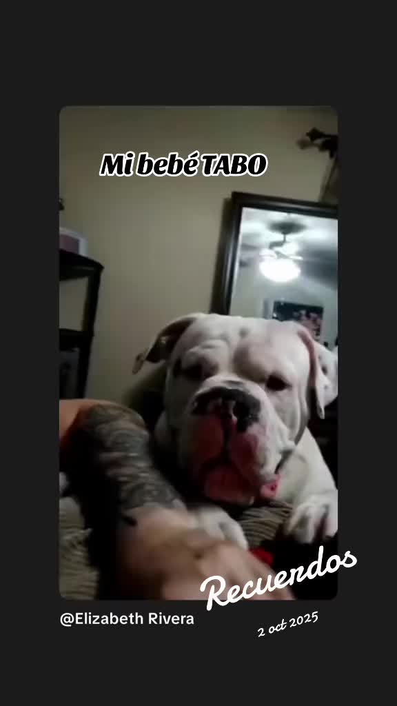 @Elizabeth Rivera