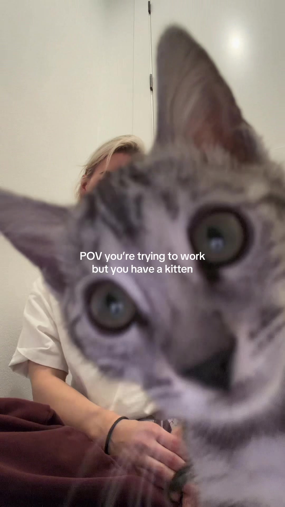 @Sabrina Cesta