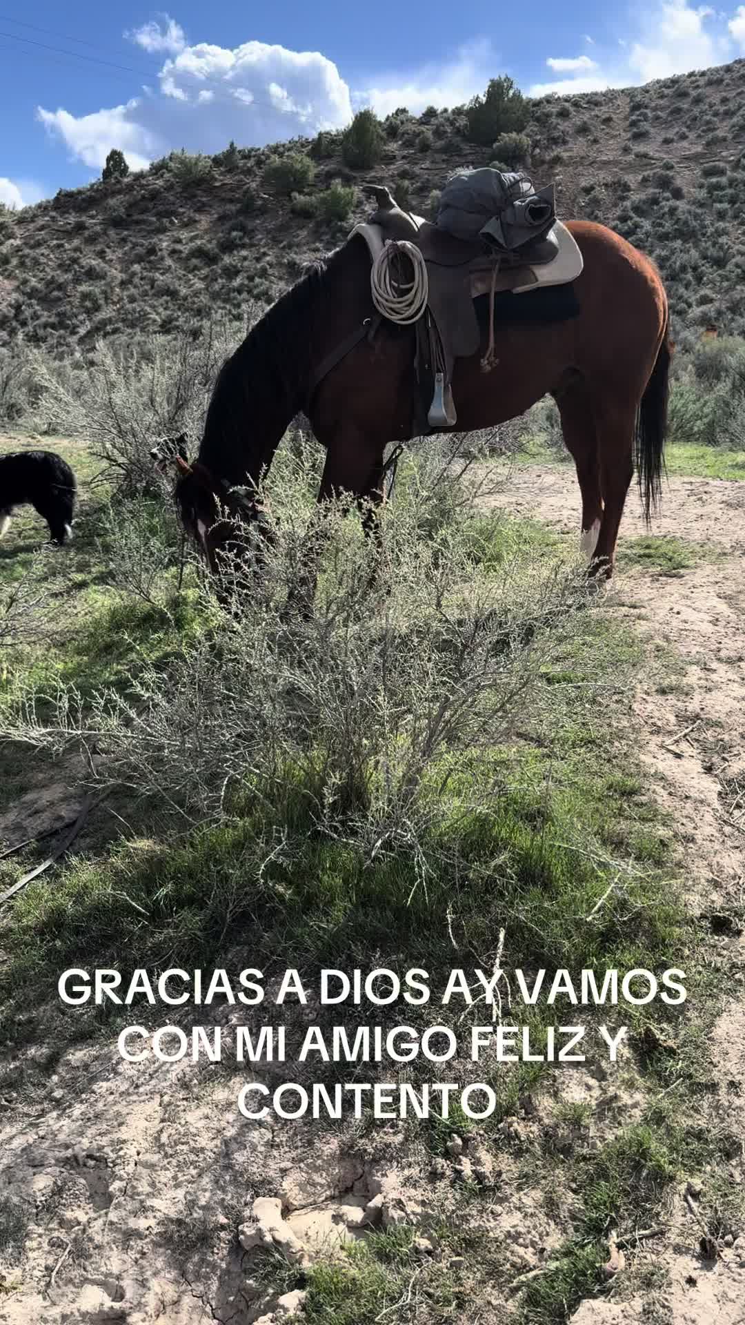 @papuchito 👨🌾🫏