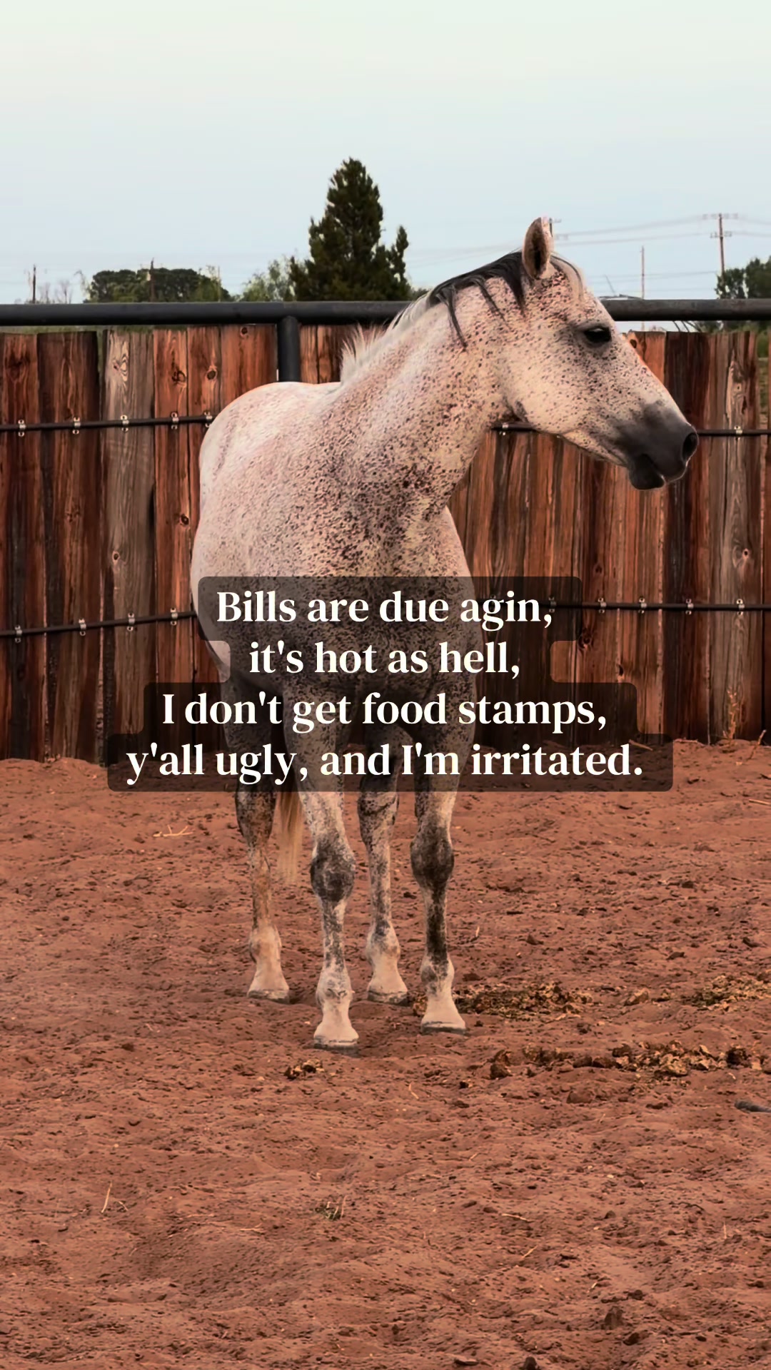 @Cheyenne Fleming