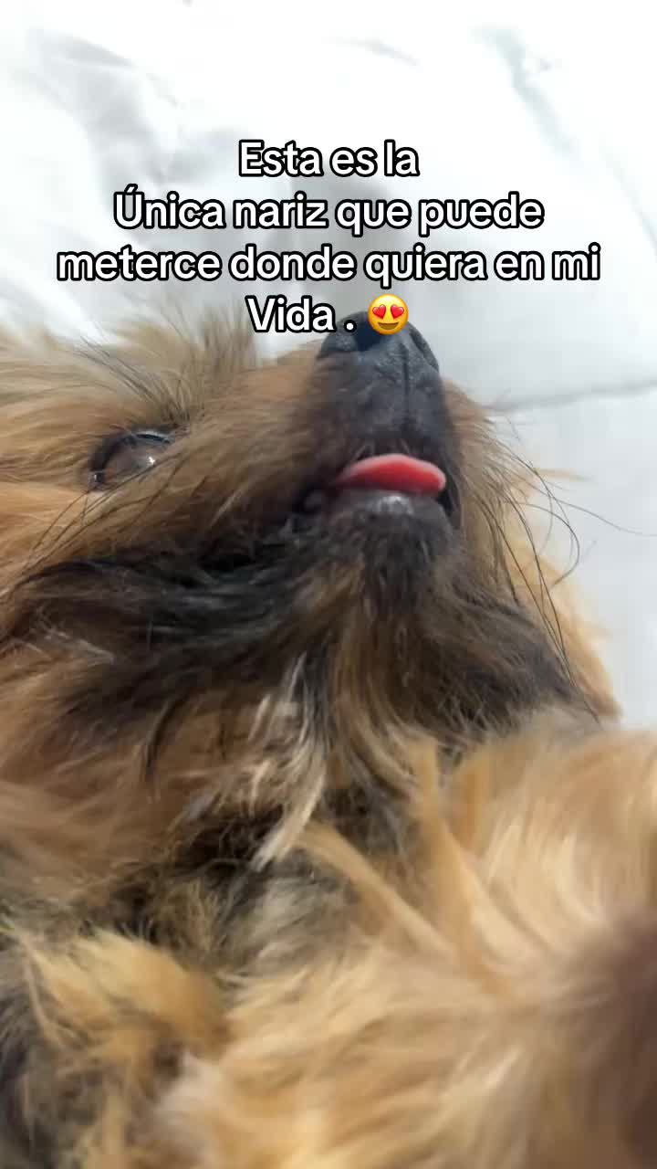 @Karlita Lisbet Ávila