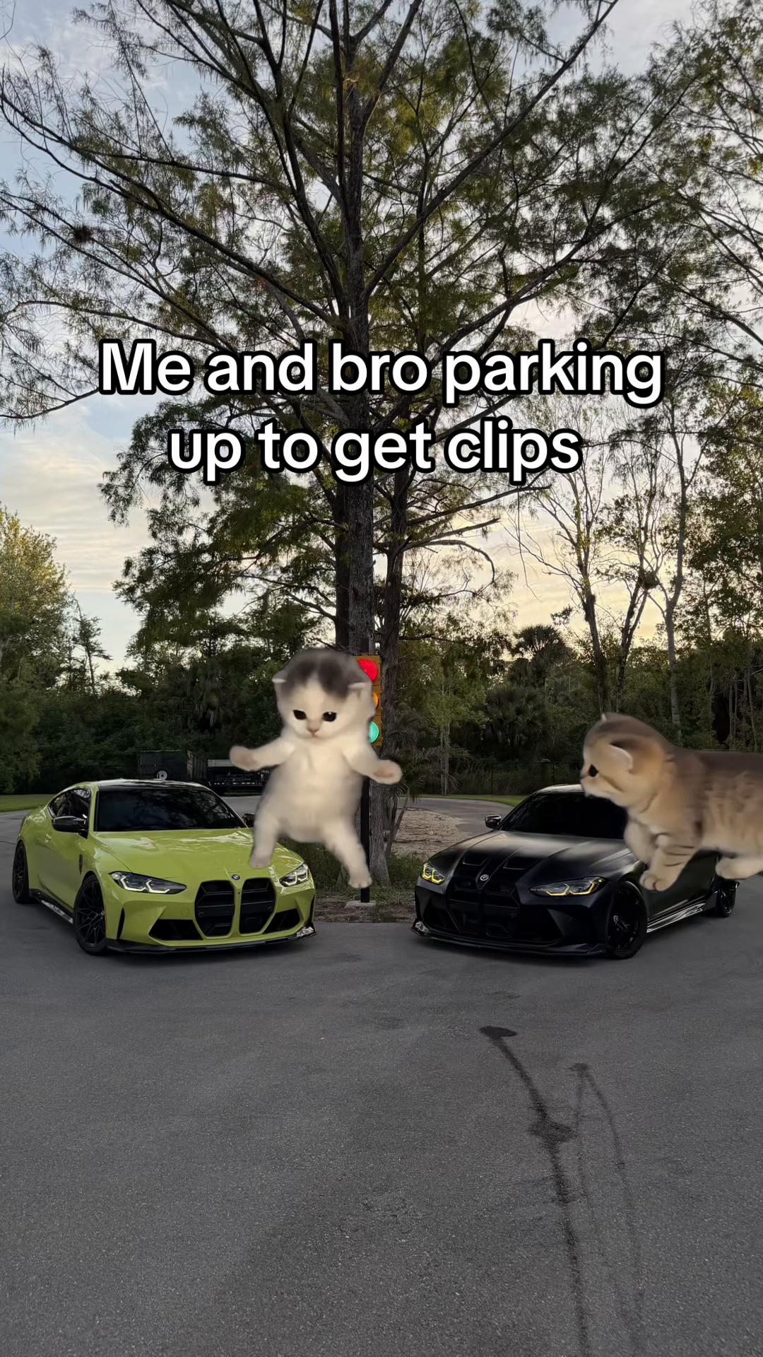 @239 M3