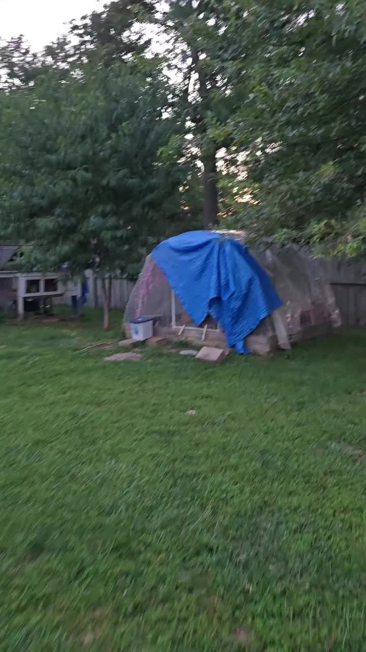 @ActiveMommy