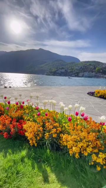 @🌺😘Delmy503🦜🕯️🌪️🤠🤟🥵🦋🌻
