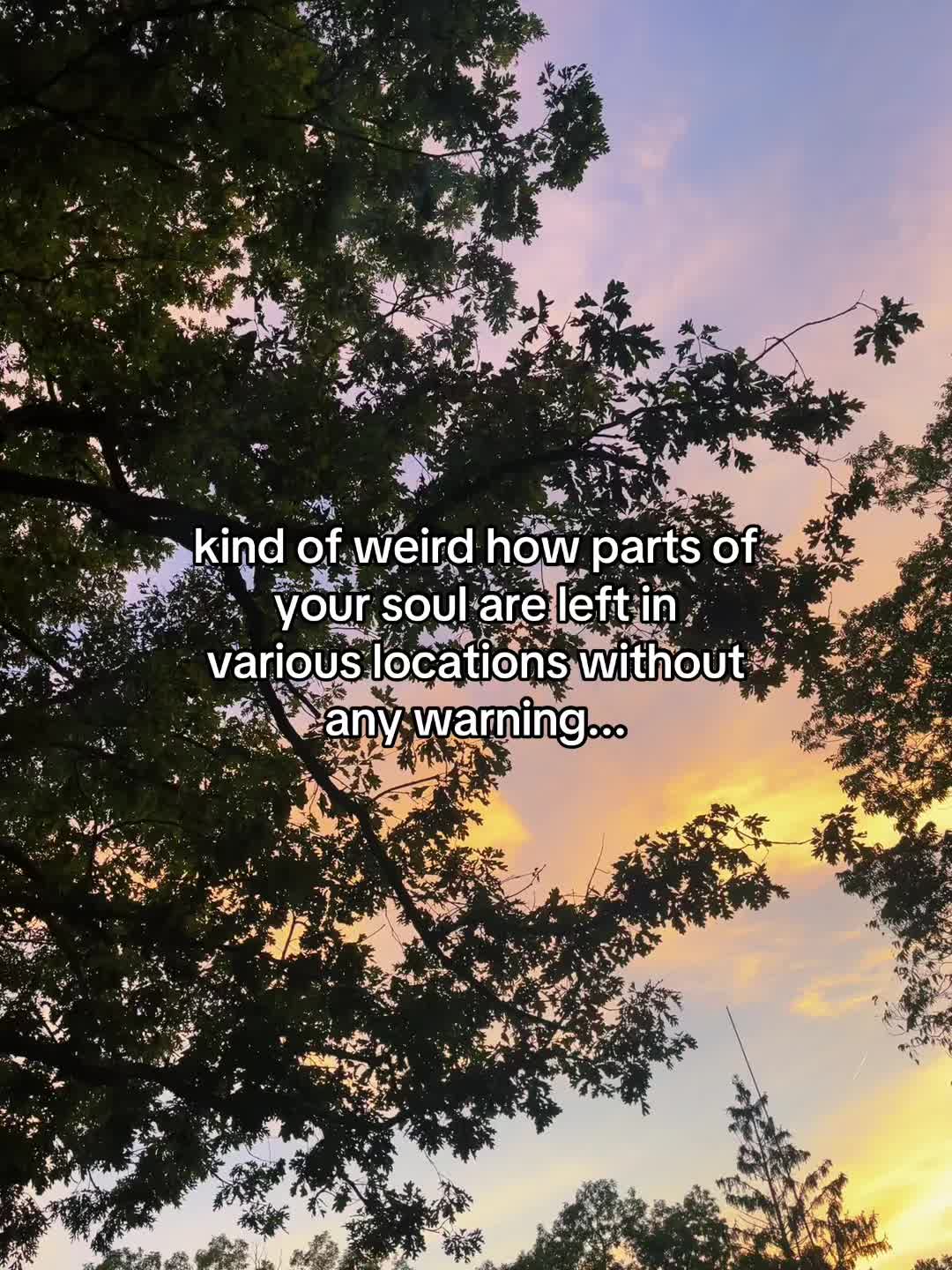 @WhimsicallyWeeded12