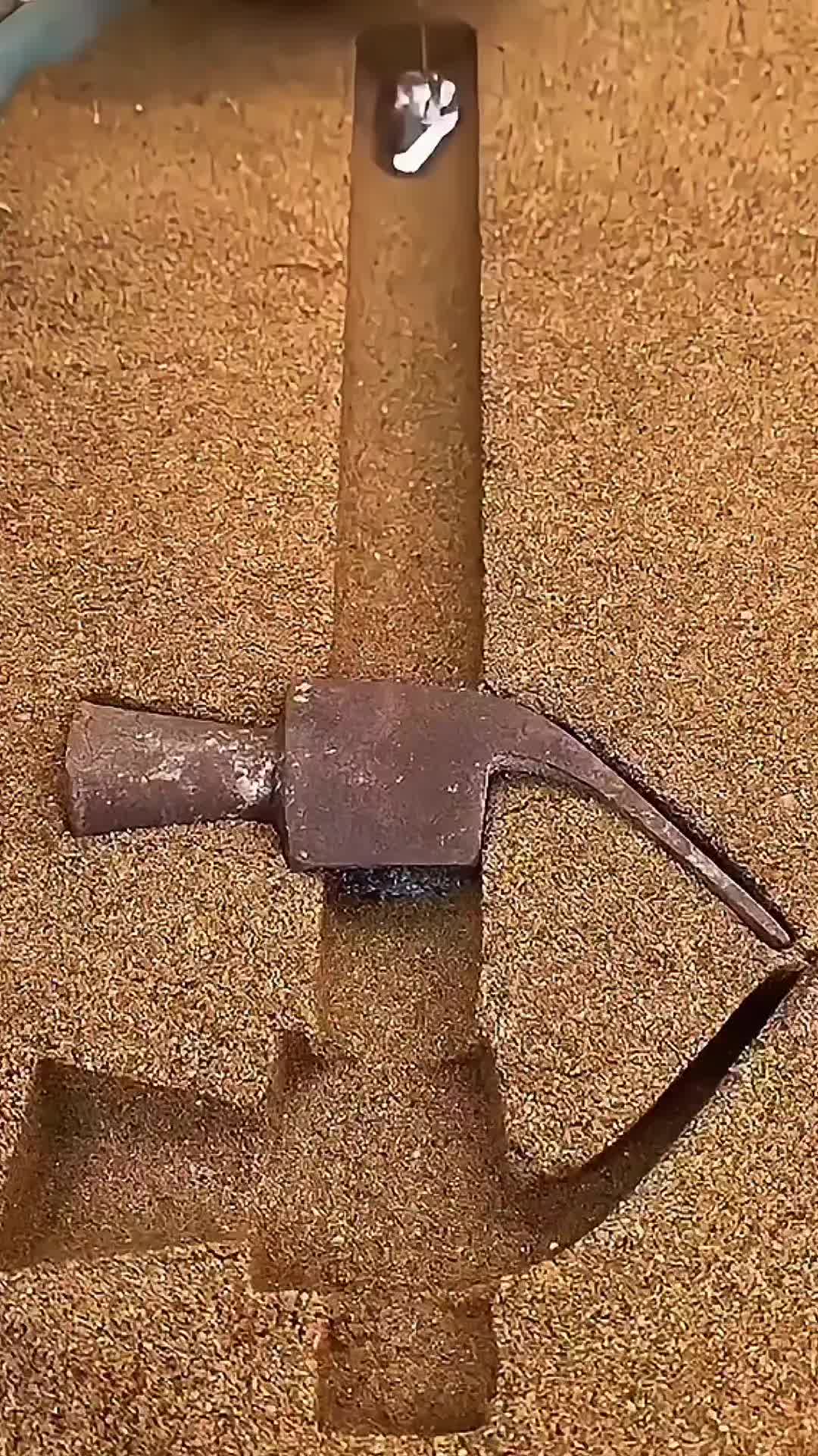 @๐๐๐๐ ๐๐๐๐ ๐จ๐ก