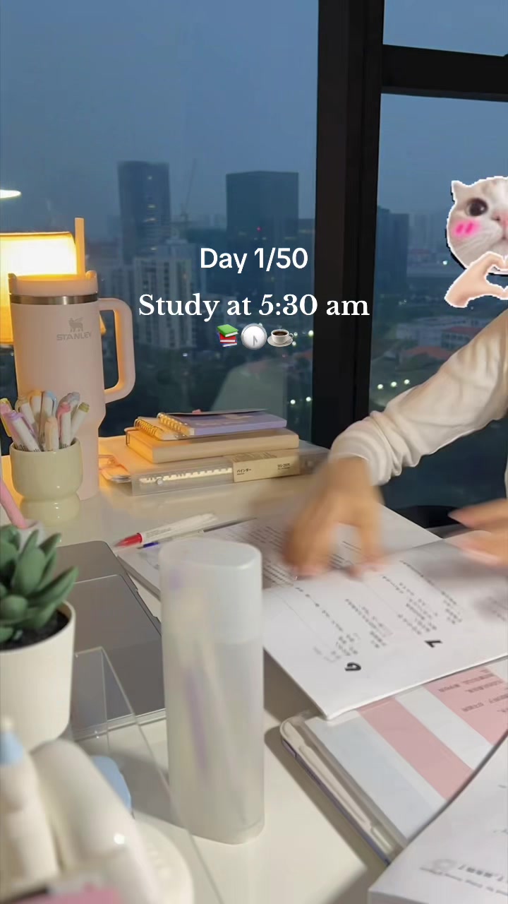 @Alice 🧸🪴