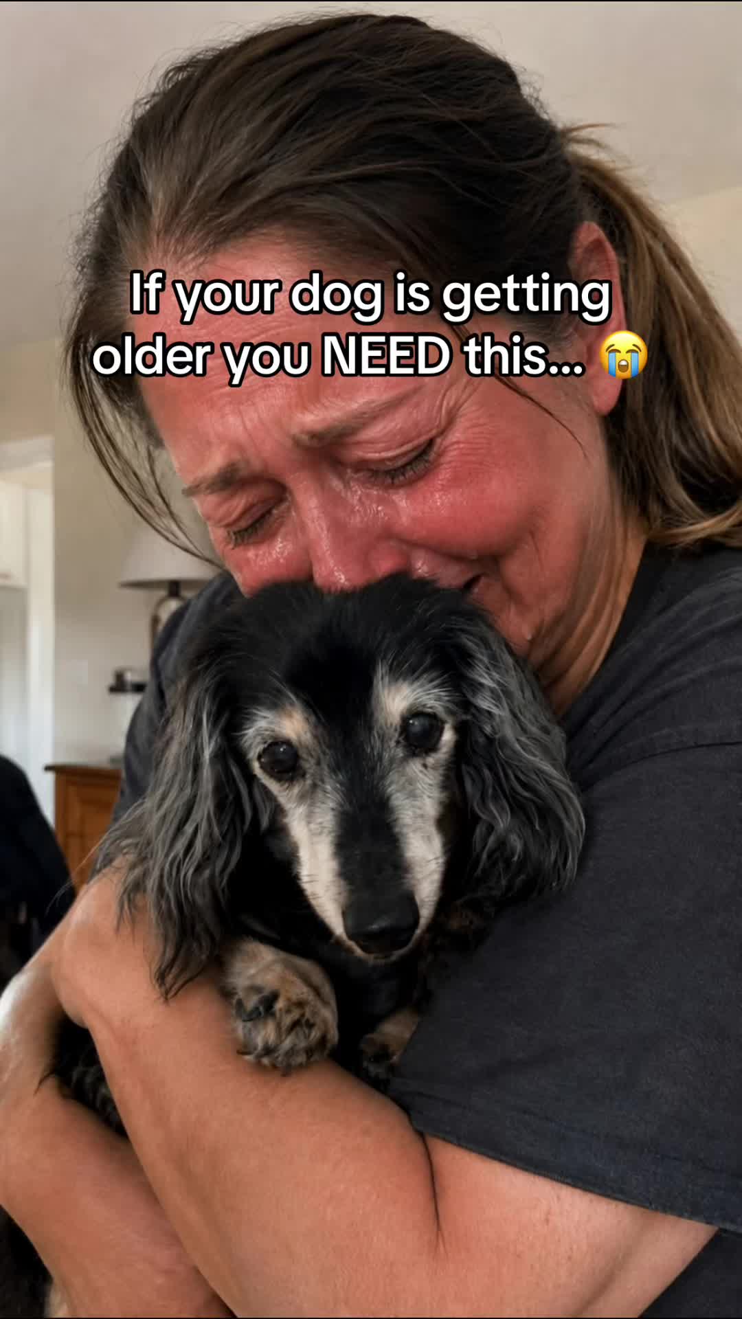 @SavlahPets