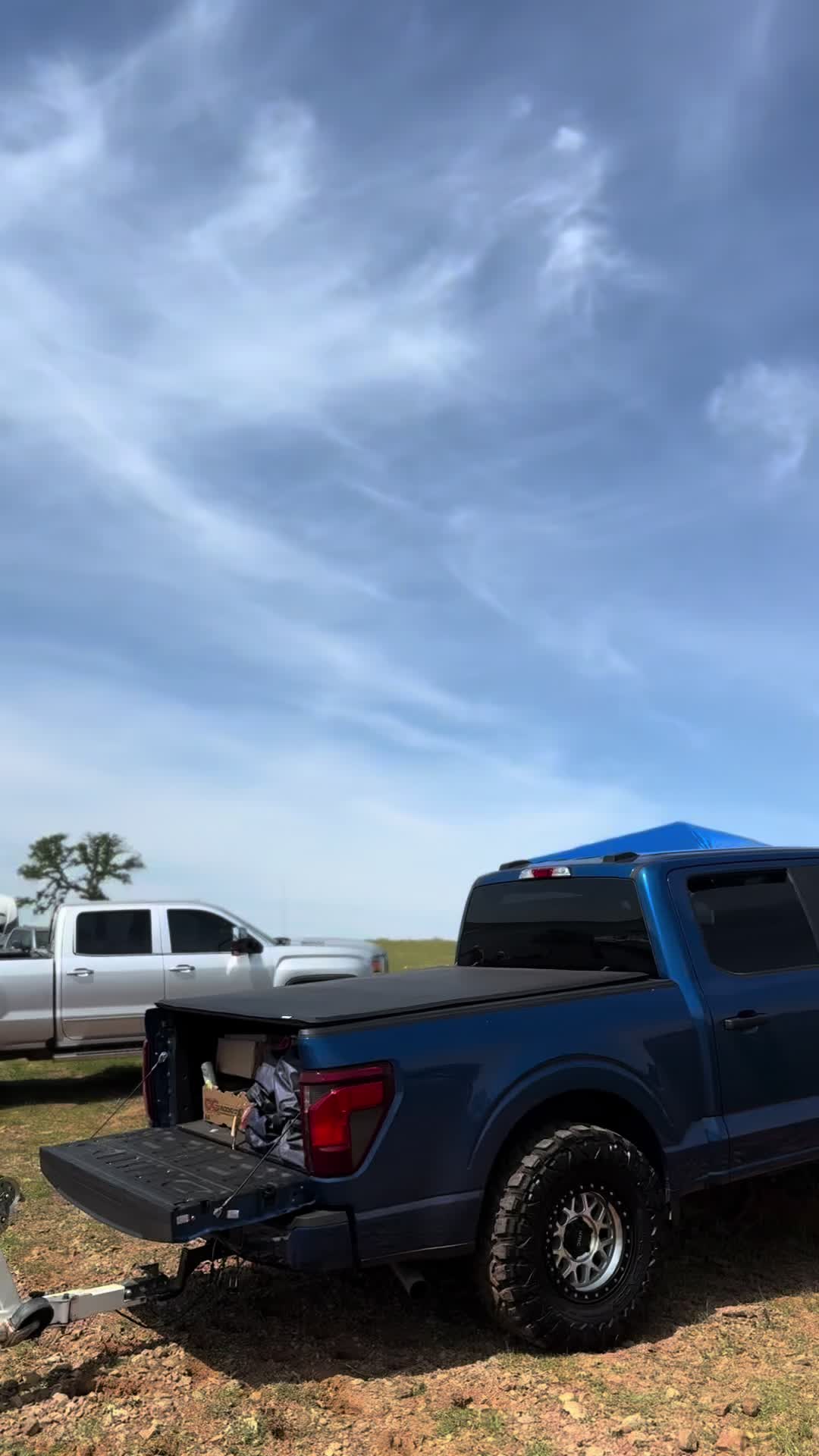 @™️
