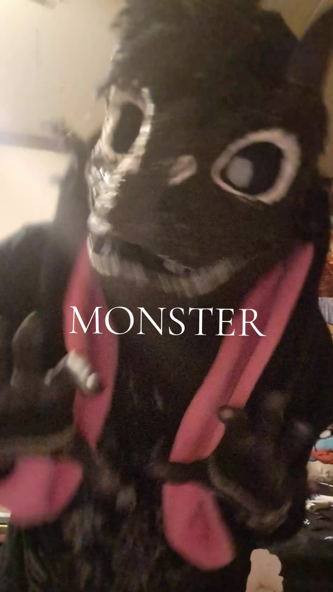 @sirmeowsalot HAVER 🐈⬛👔