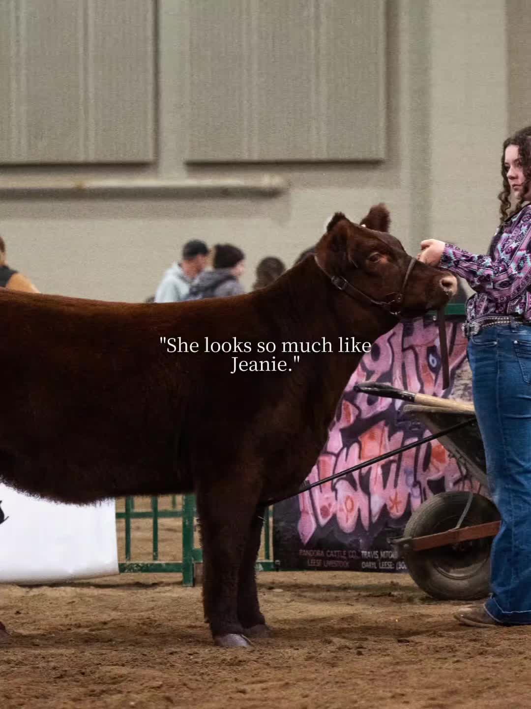 @🤍🌻🐄Alaina🐄🌻🤍