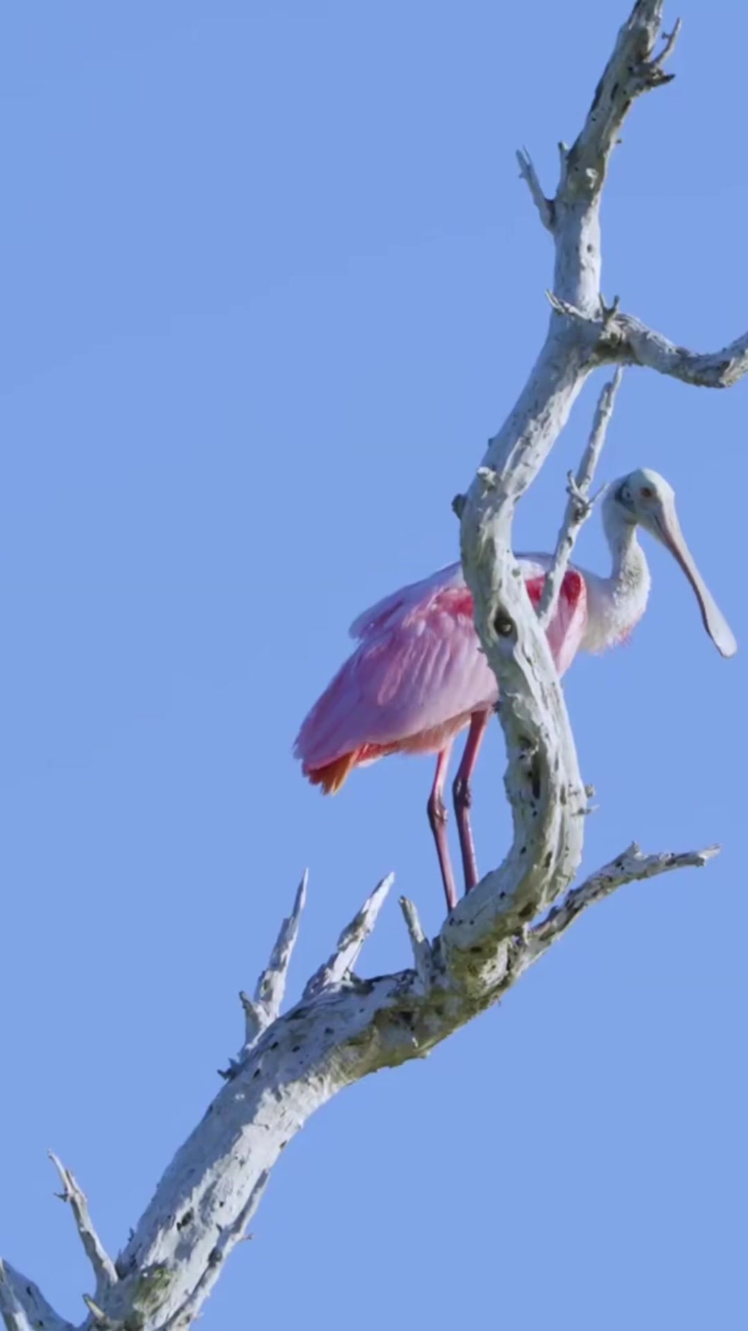 @Everglades National Park
