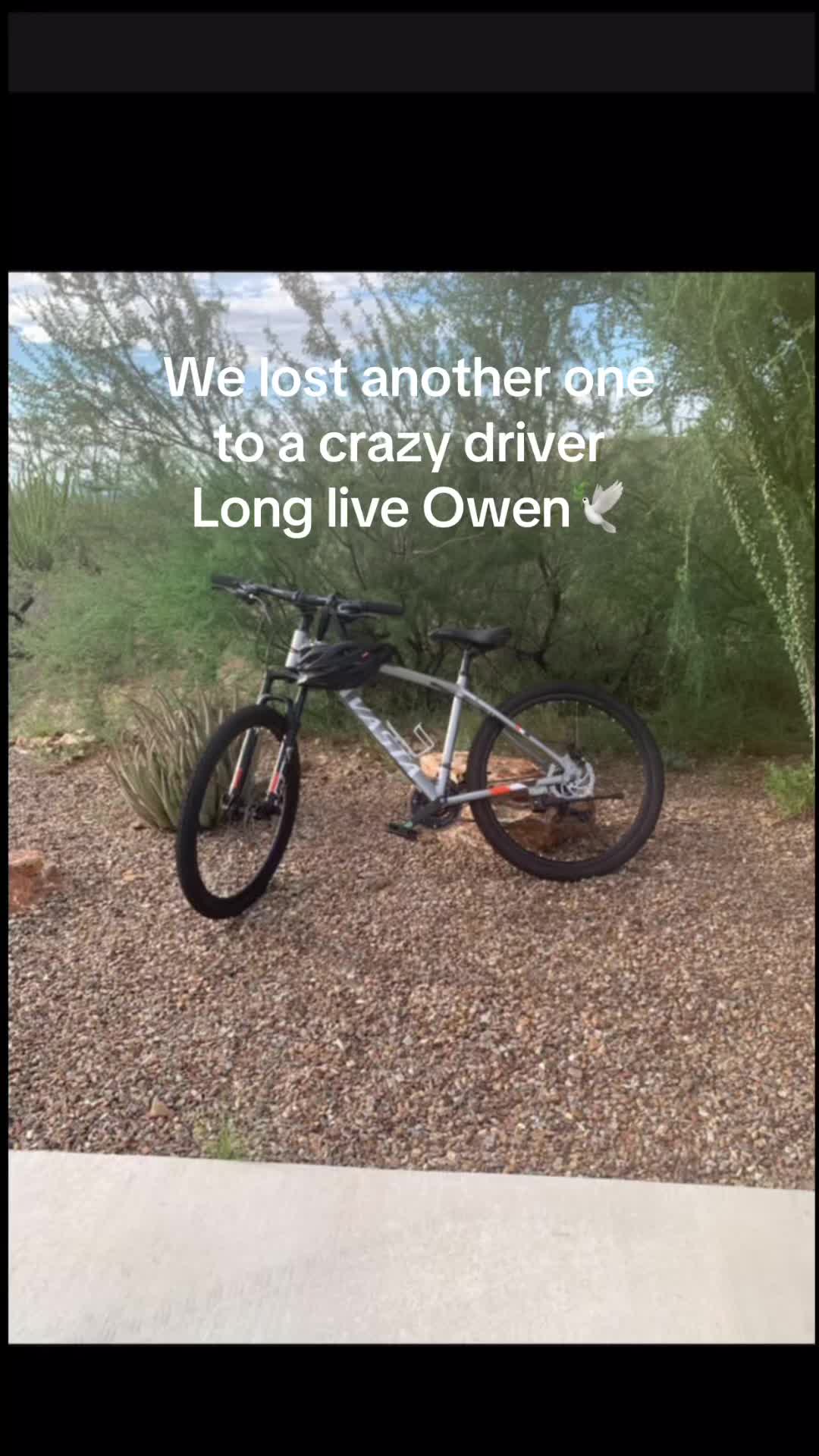 @0v-bmoney
