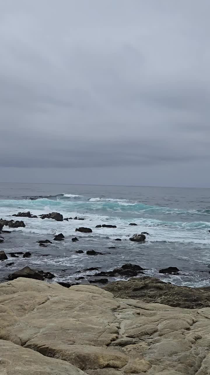 @MR408ESSJ