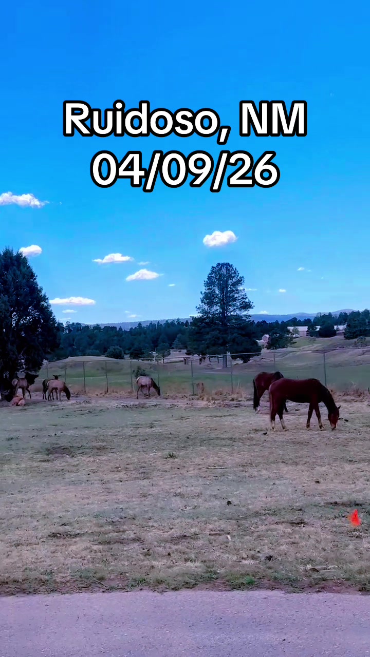 @Mirissa Good Ruidoso Realtor
