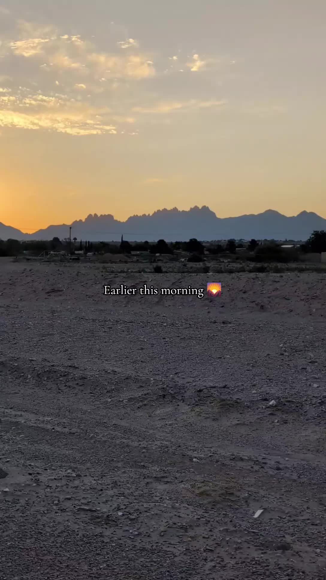 @🌵💜𝐧𝐚𝐧𝐜𝐲💜🌵