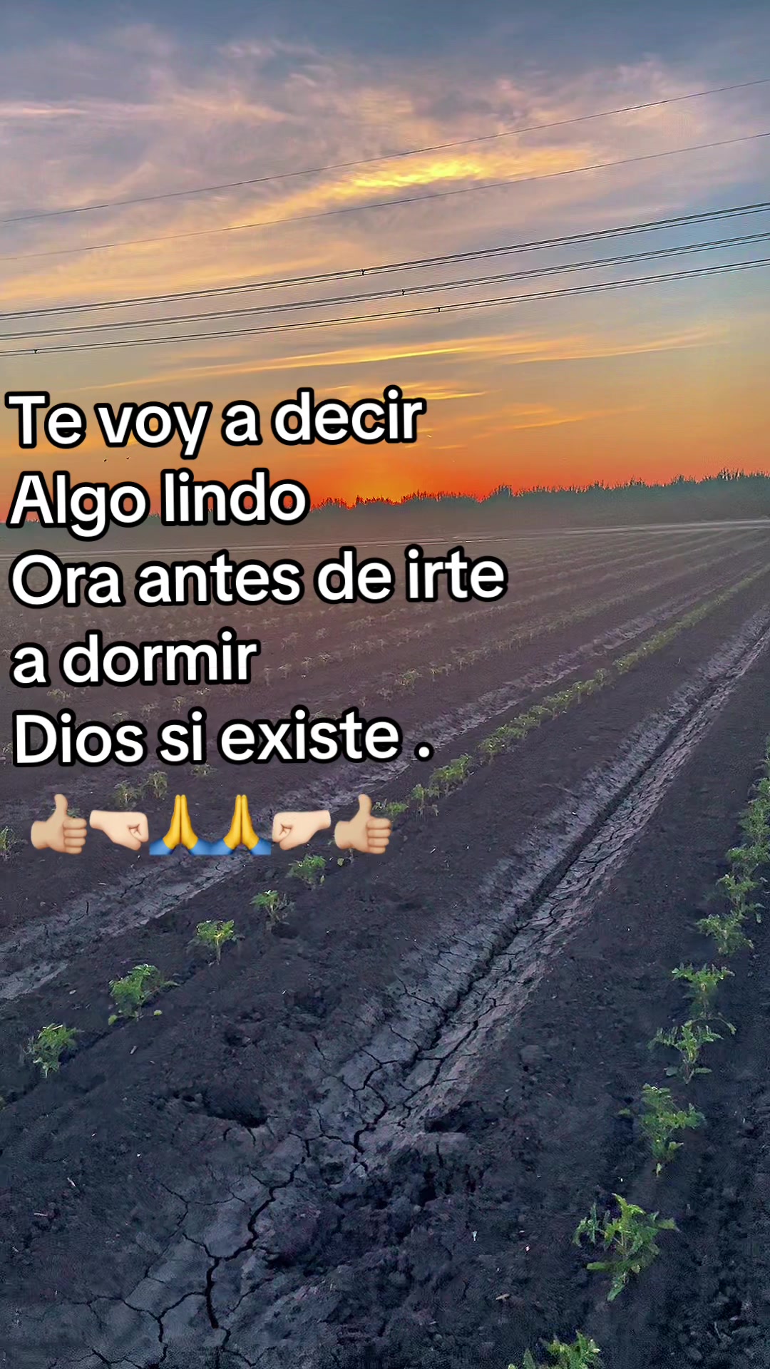 @🇲🇽🥷🏻 Eddy 🥷🏻🇲🇽