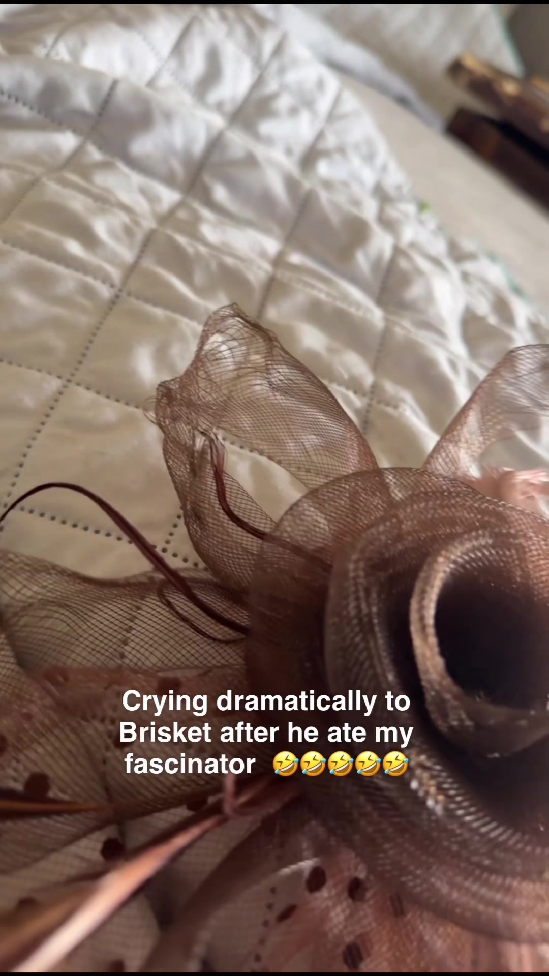 @i blame tiktok