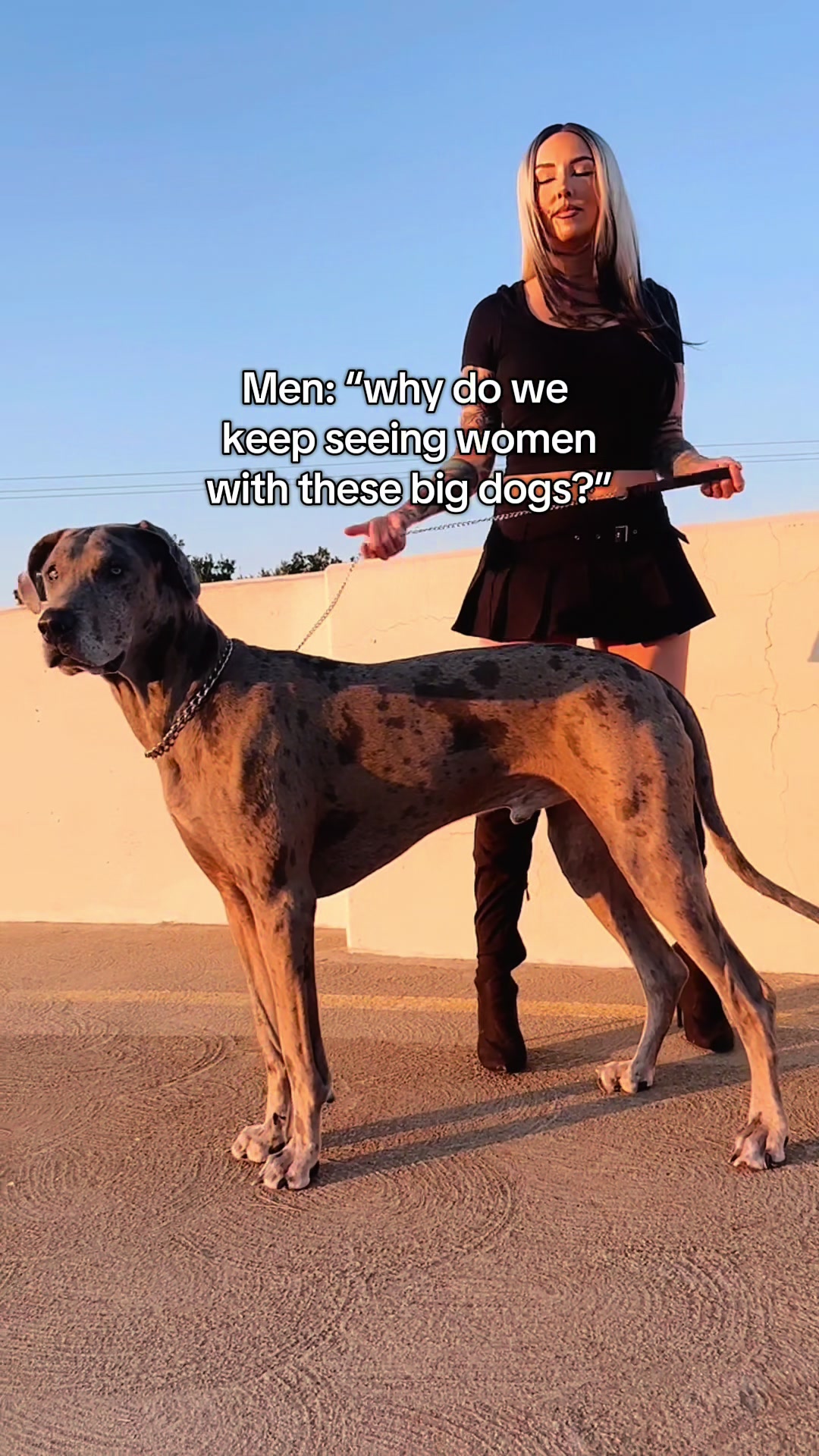 @lex 🐺⛓️