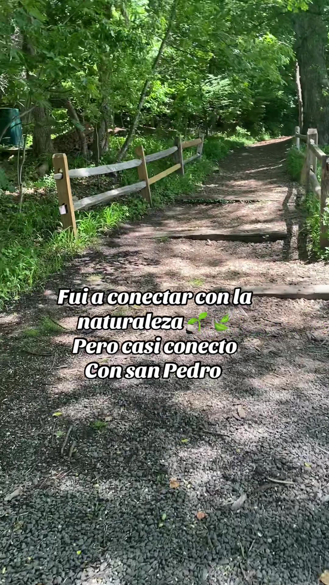 @💛Bonita_Girasol91