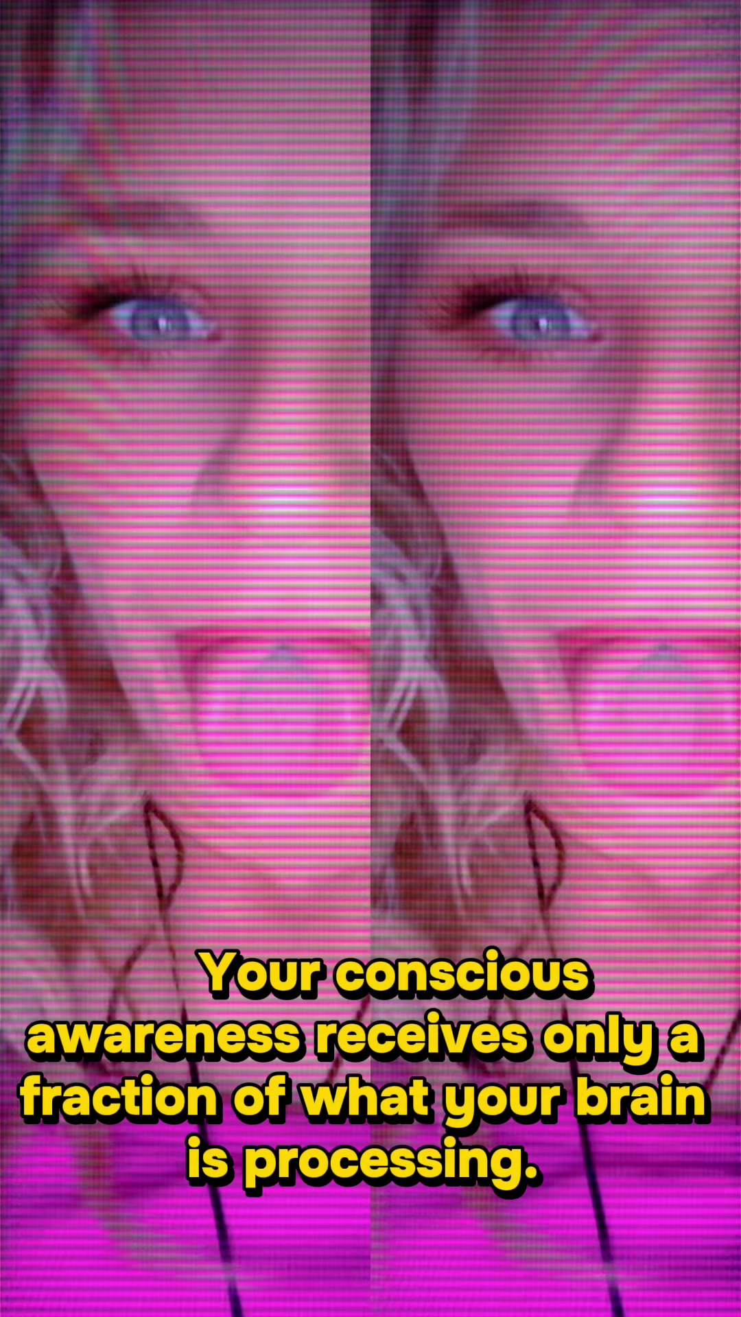 @DanamalTheAnimal