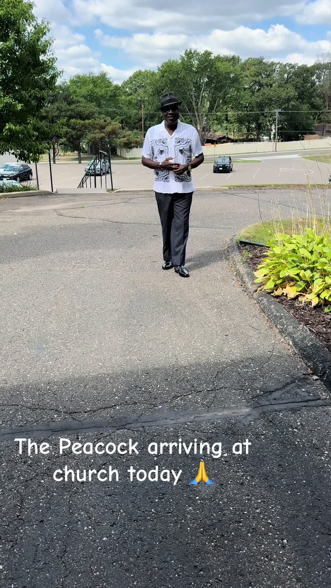@Yaw Peacock 🦚