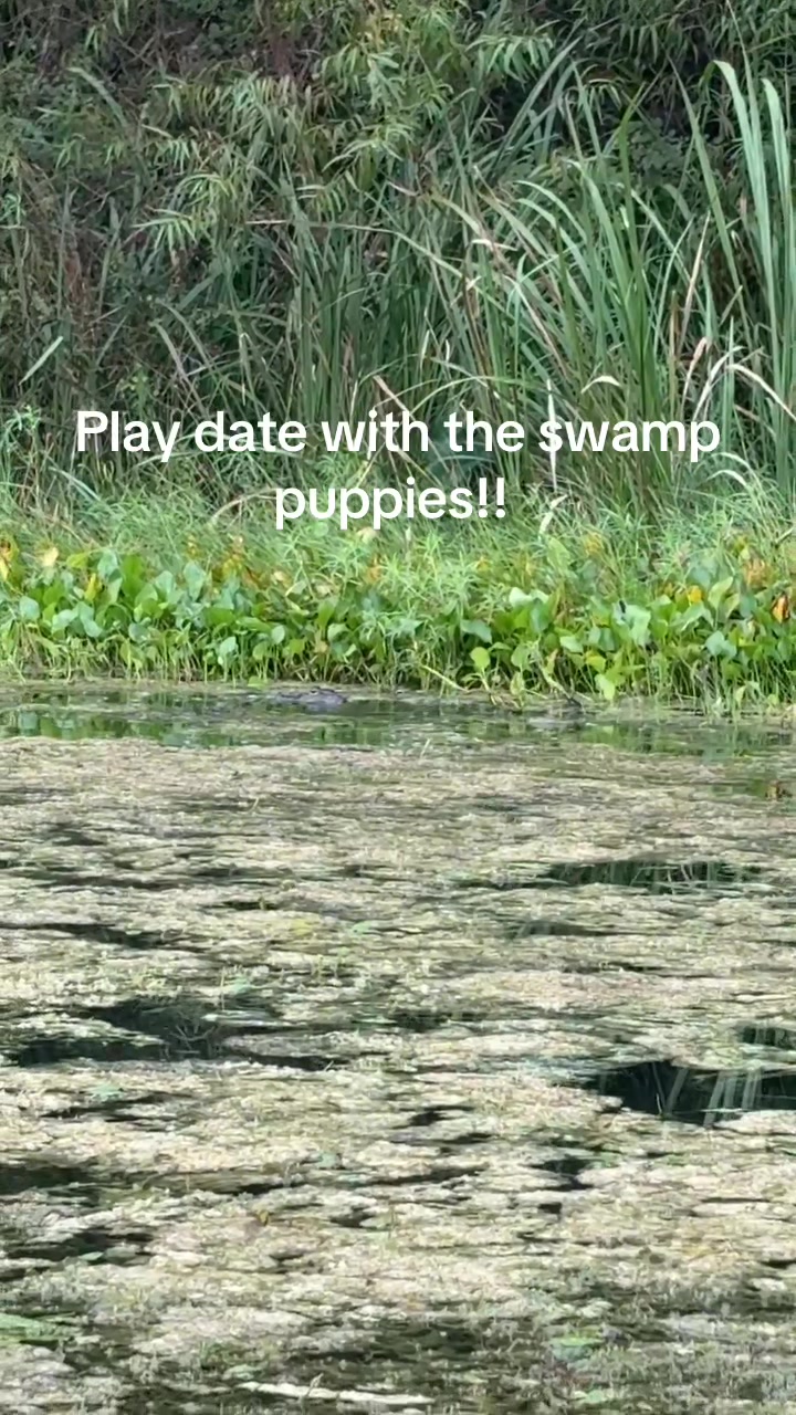 @Mav (2nd string)