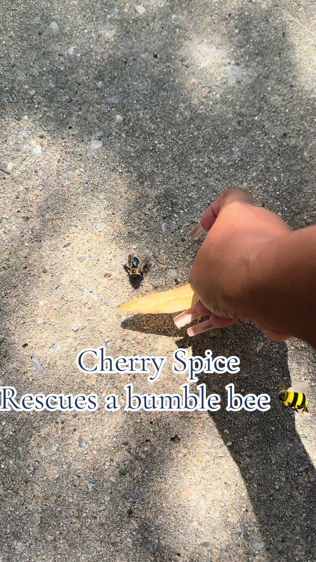 @cherryspice