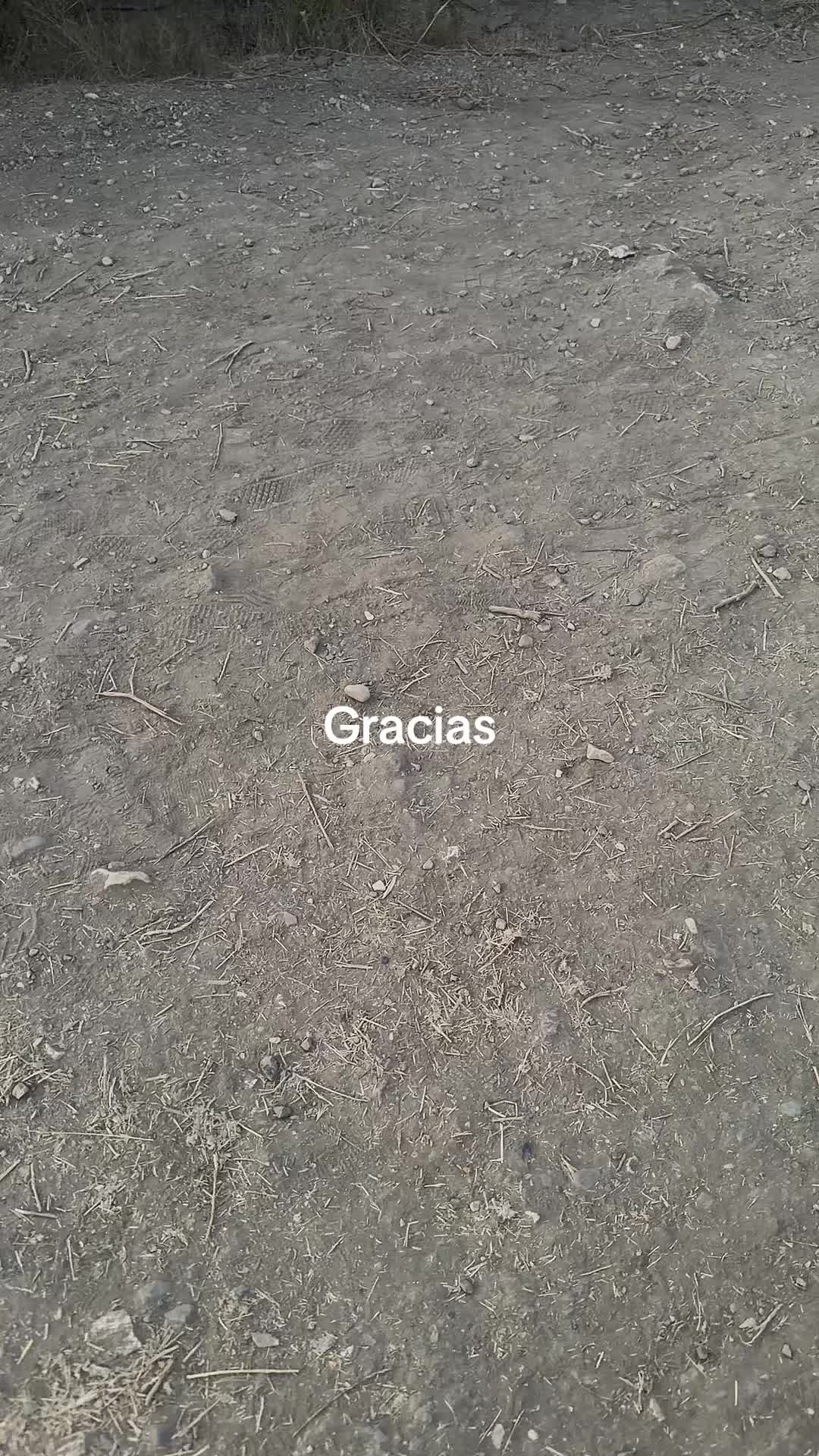 @raul perez986