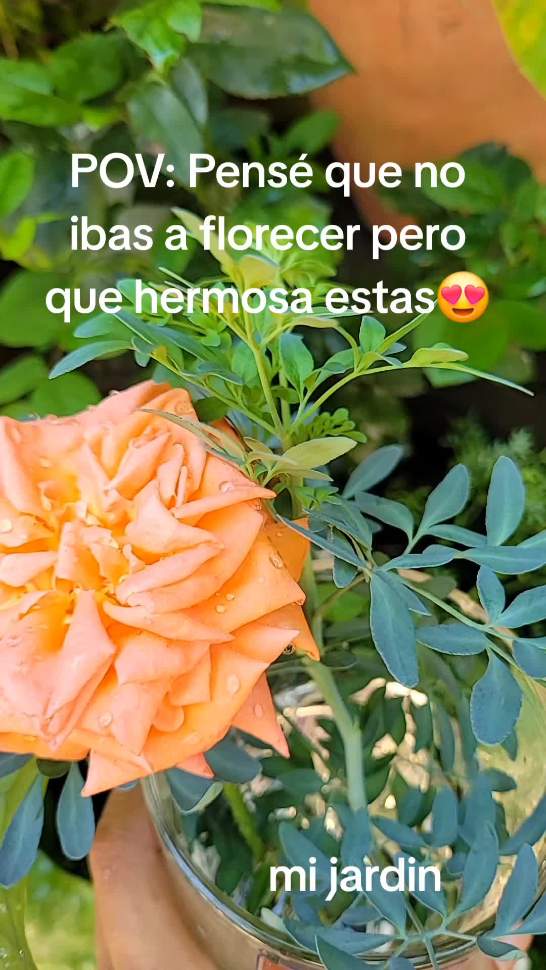 @lucymanzano