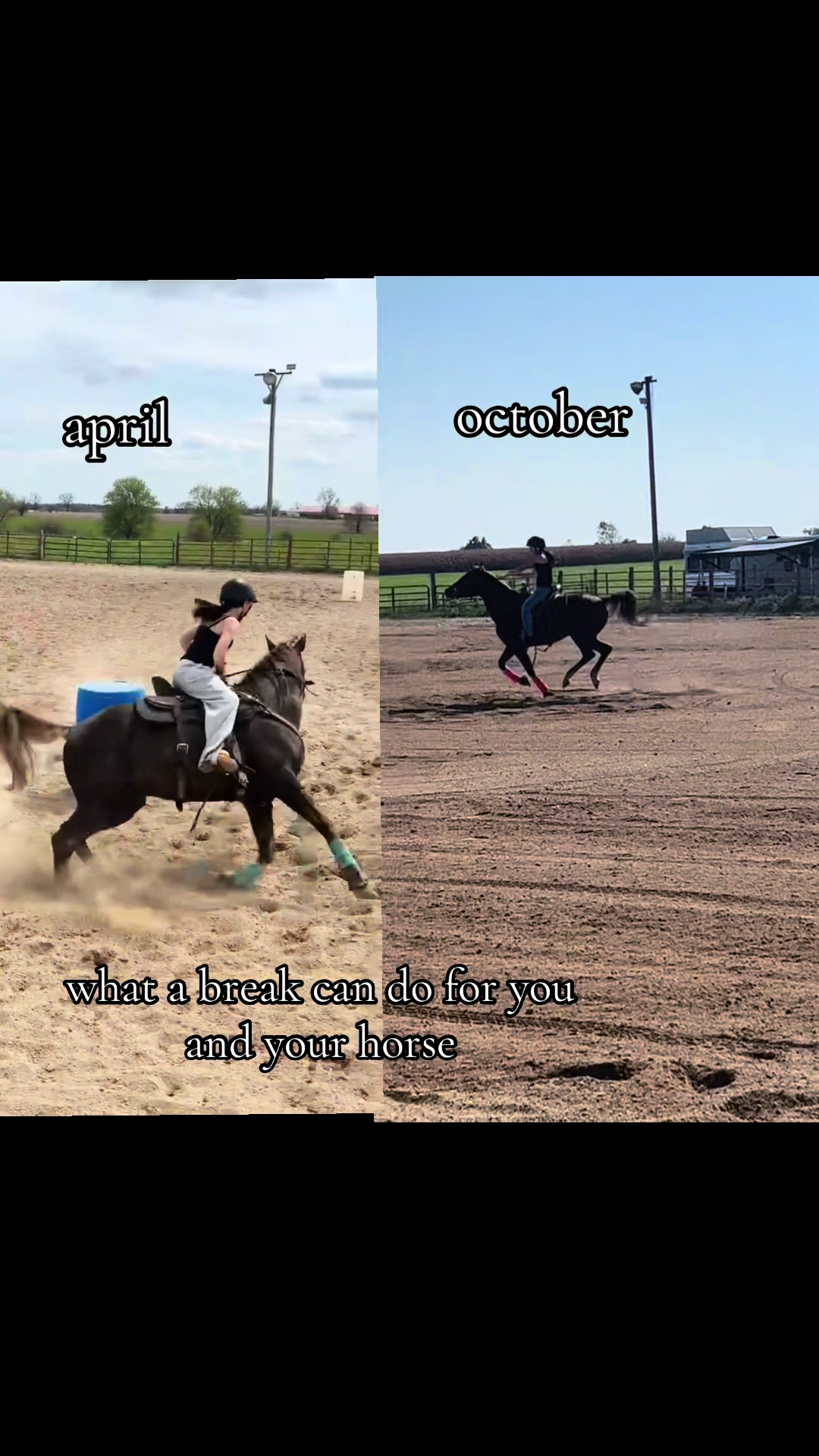 @lailah n taz