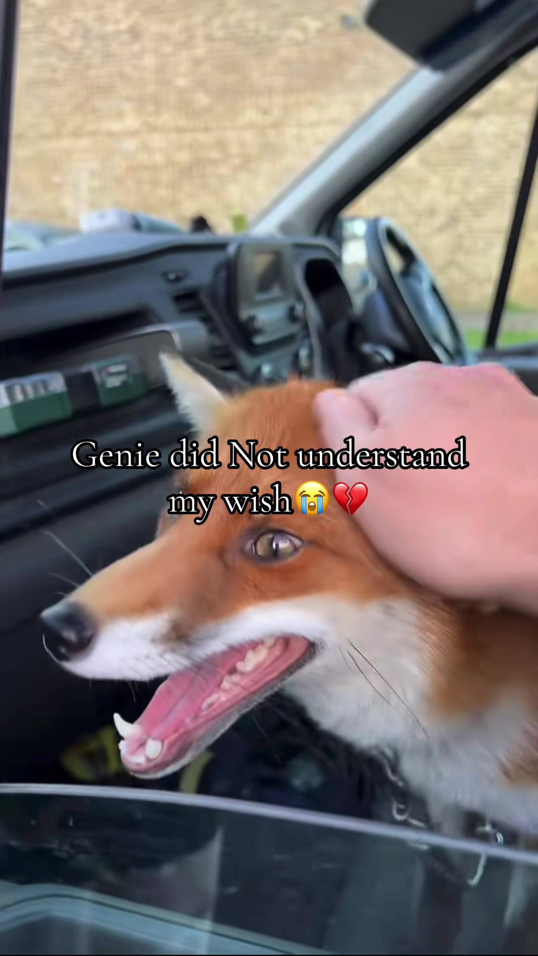 @Darwin