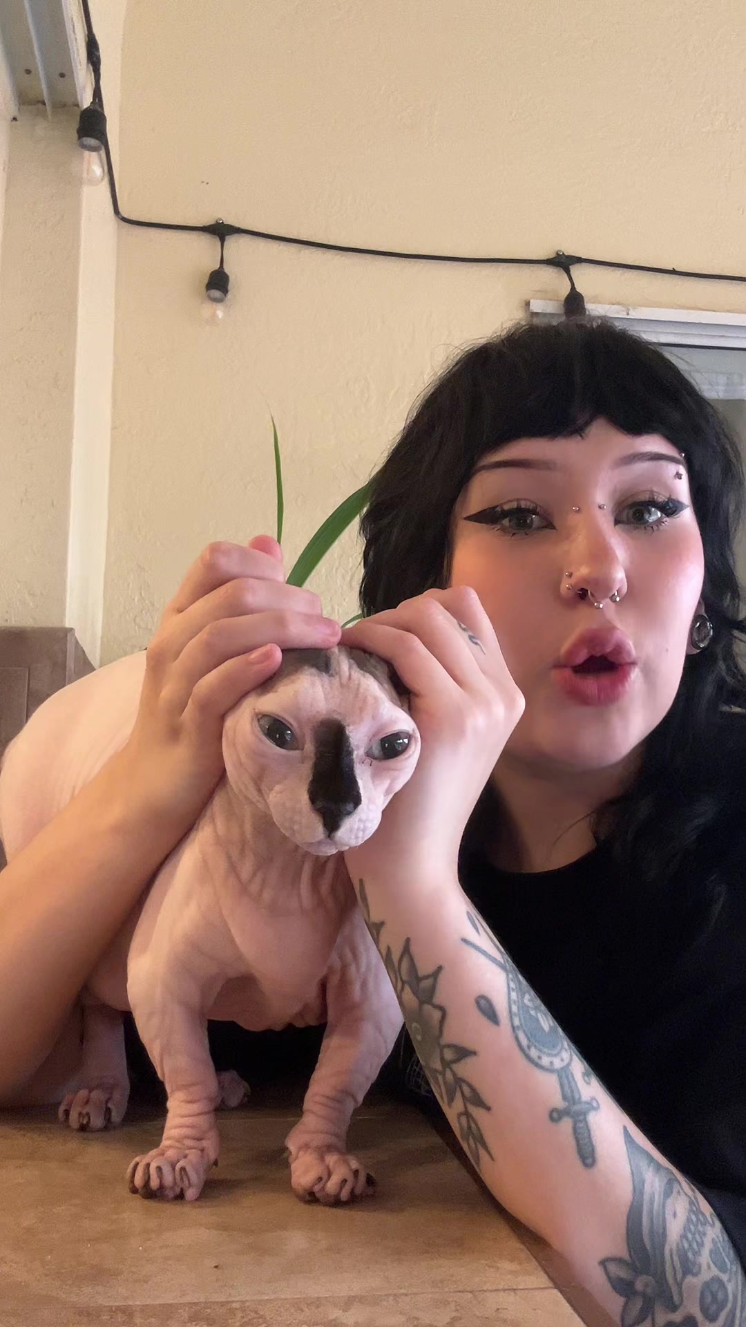 @bojackborseman