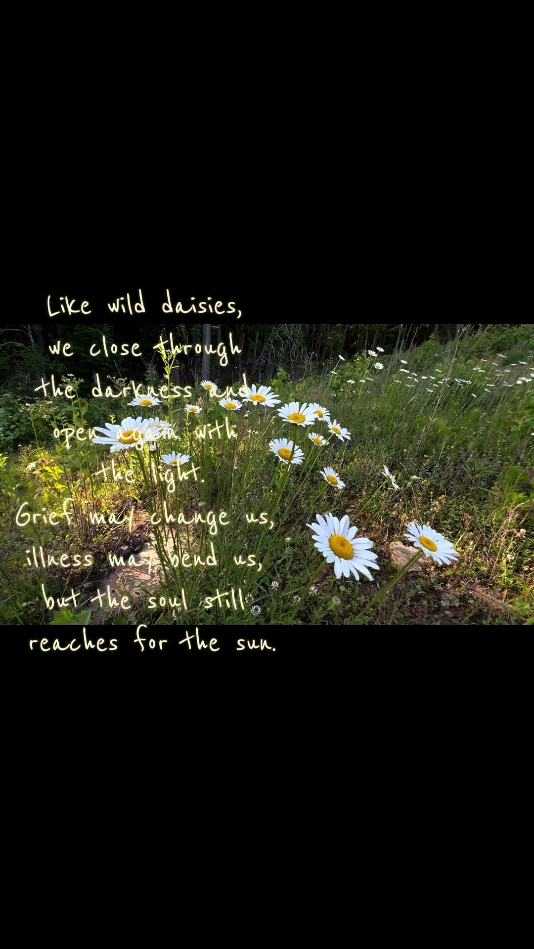 @REELMEDITATION OUTDOORS