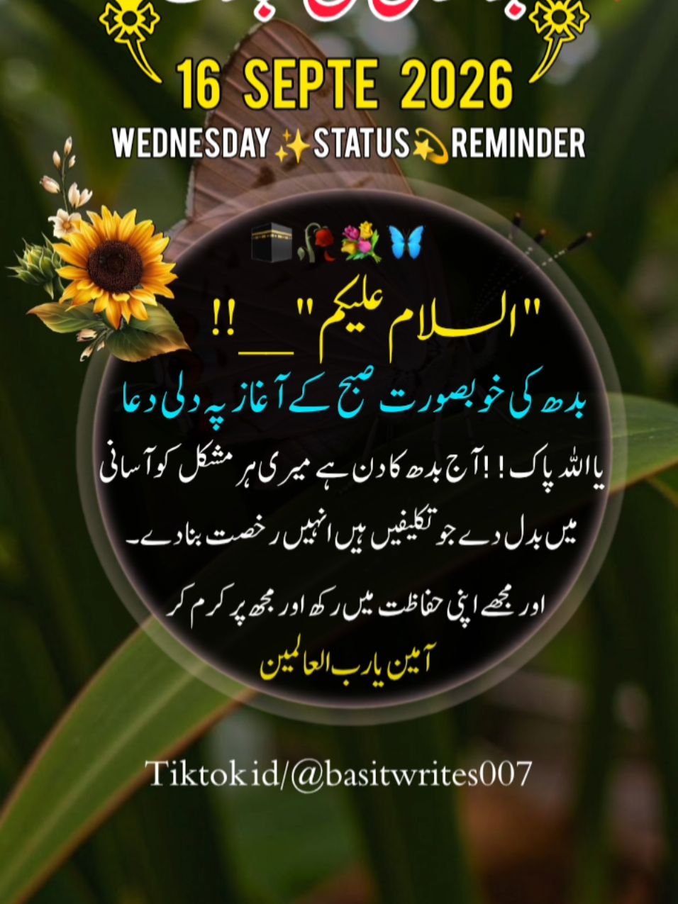 @basitwrites007