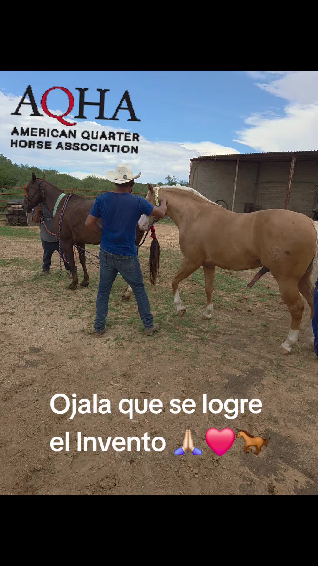 @BarbaCerrada0519
