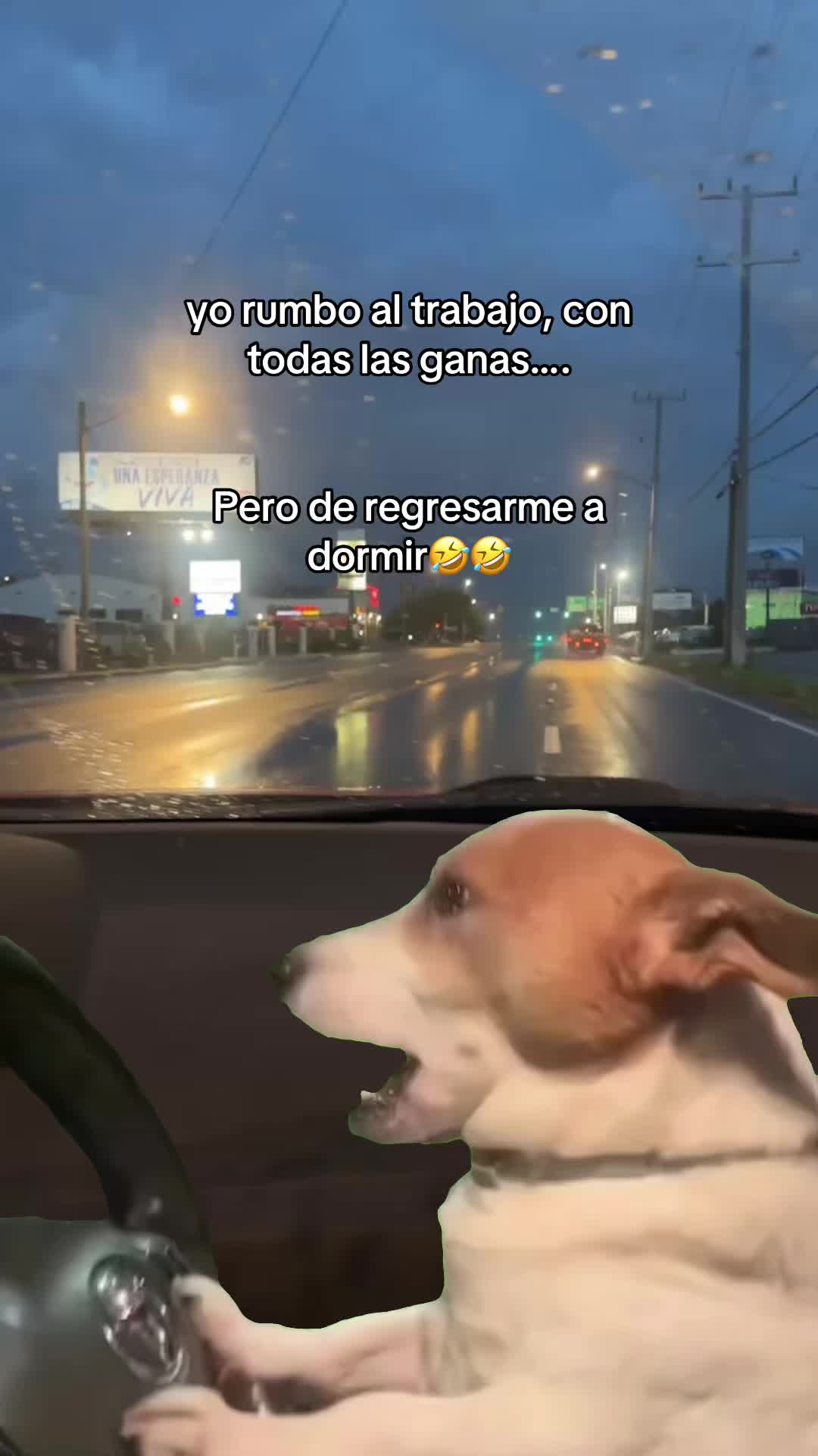 @lupita📿🪬🍀