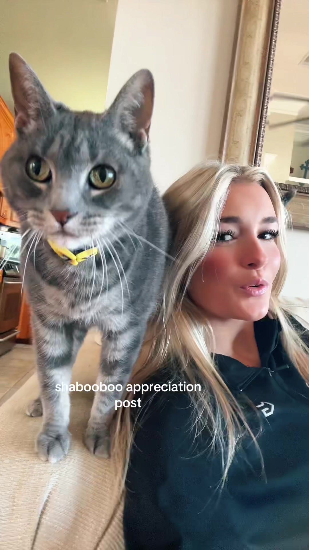 @taylorspamshella