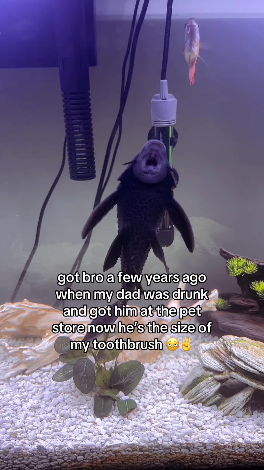 @⚫️🕷️&bull;𝓢𝔂𝓶𝓫𝔃𝔃&bull;🕷️⚫️