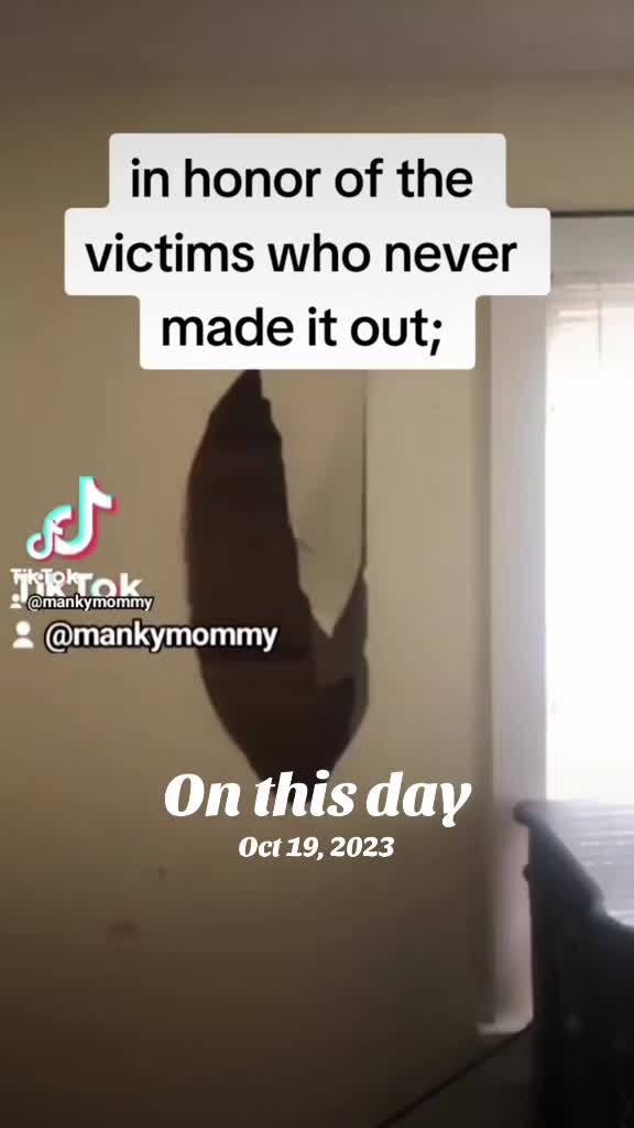 @Kayluhh.