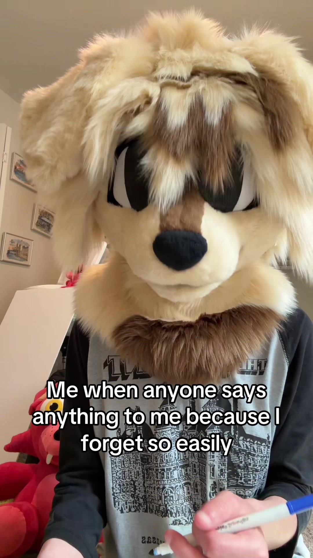 @dog