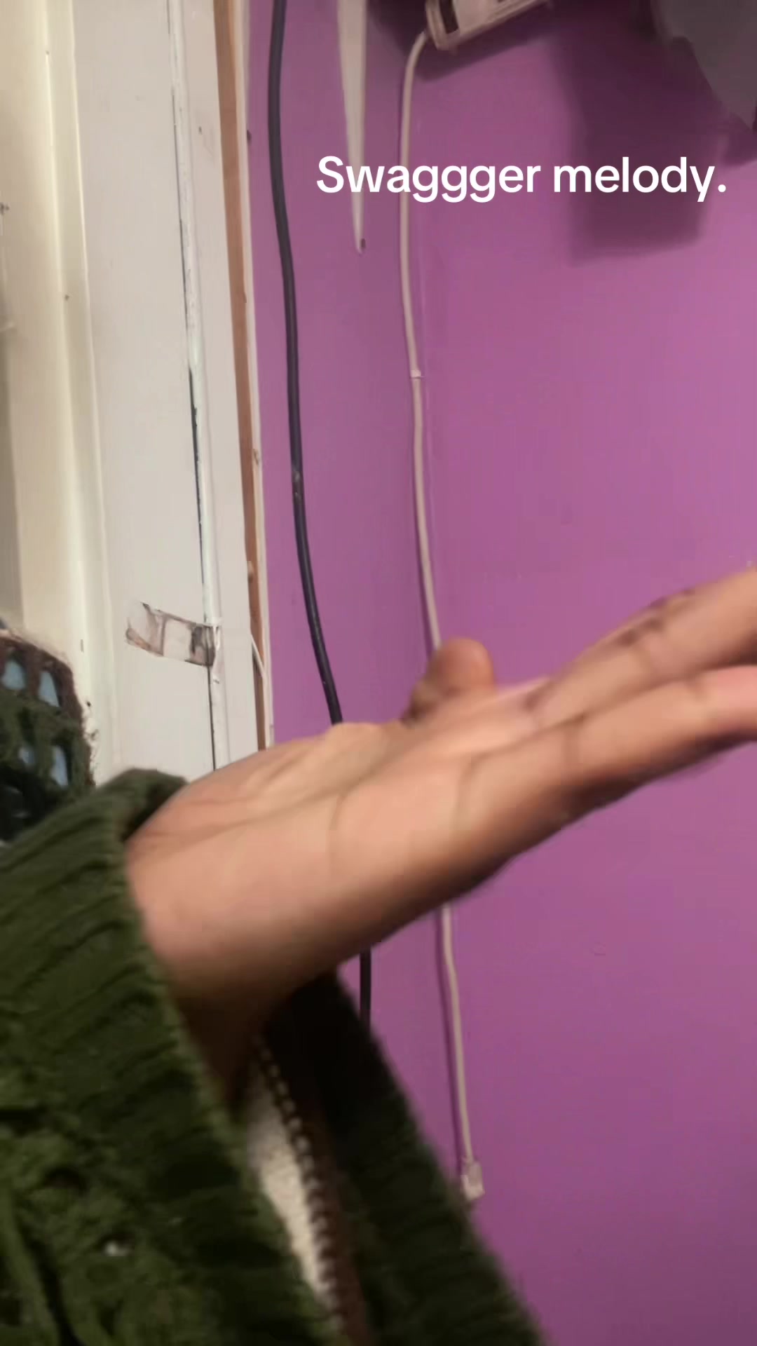 @raccon