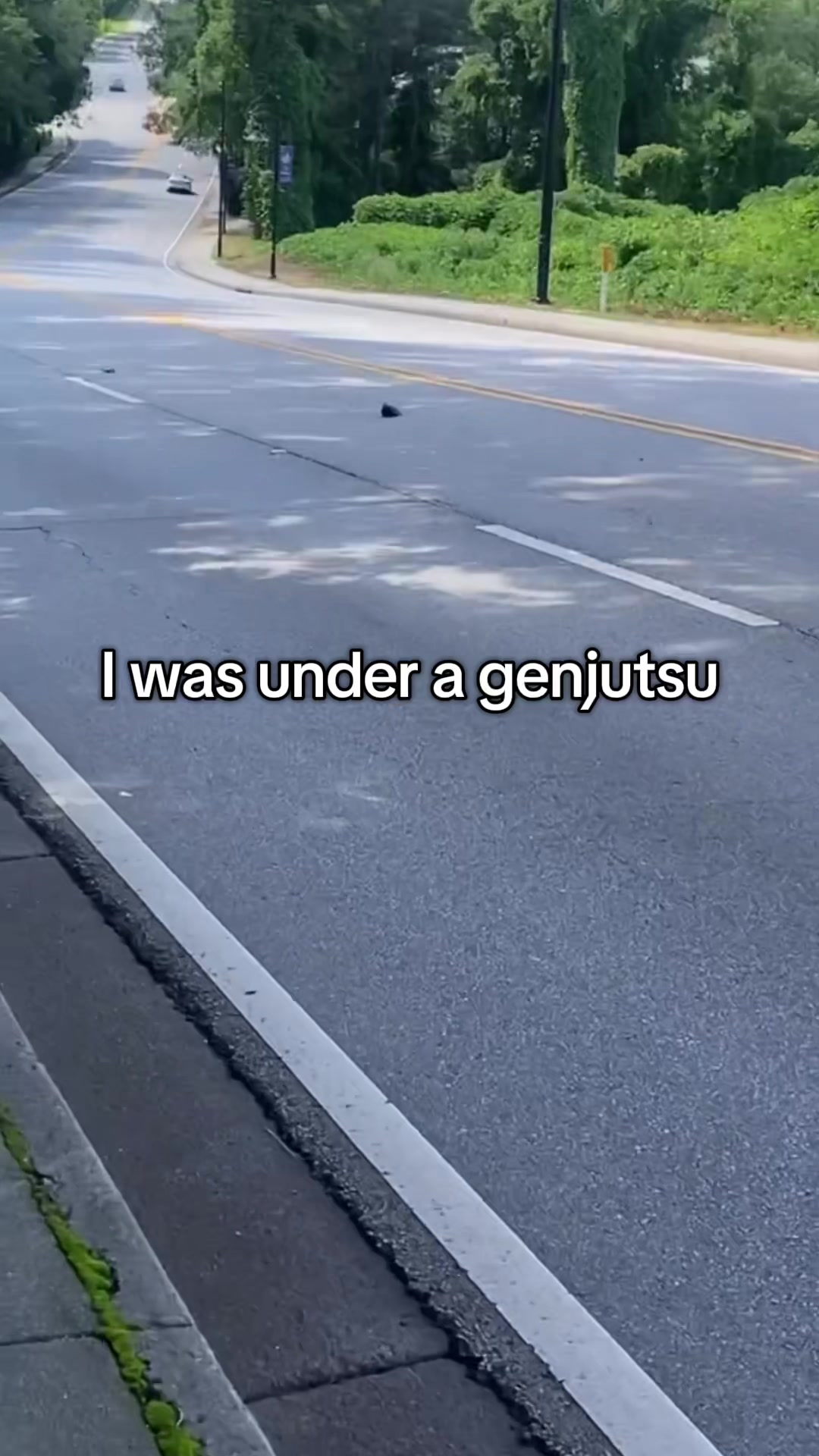 @Protégé