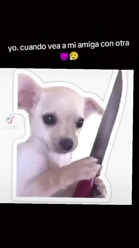 @elibethchirino