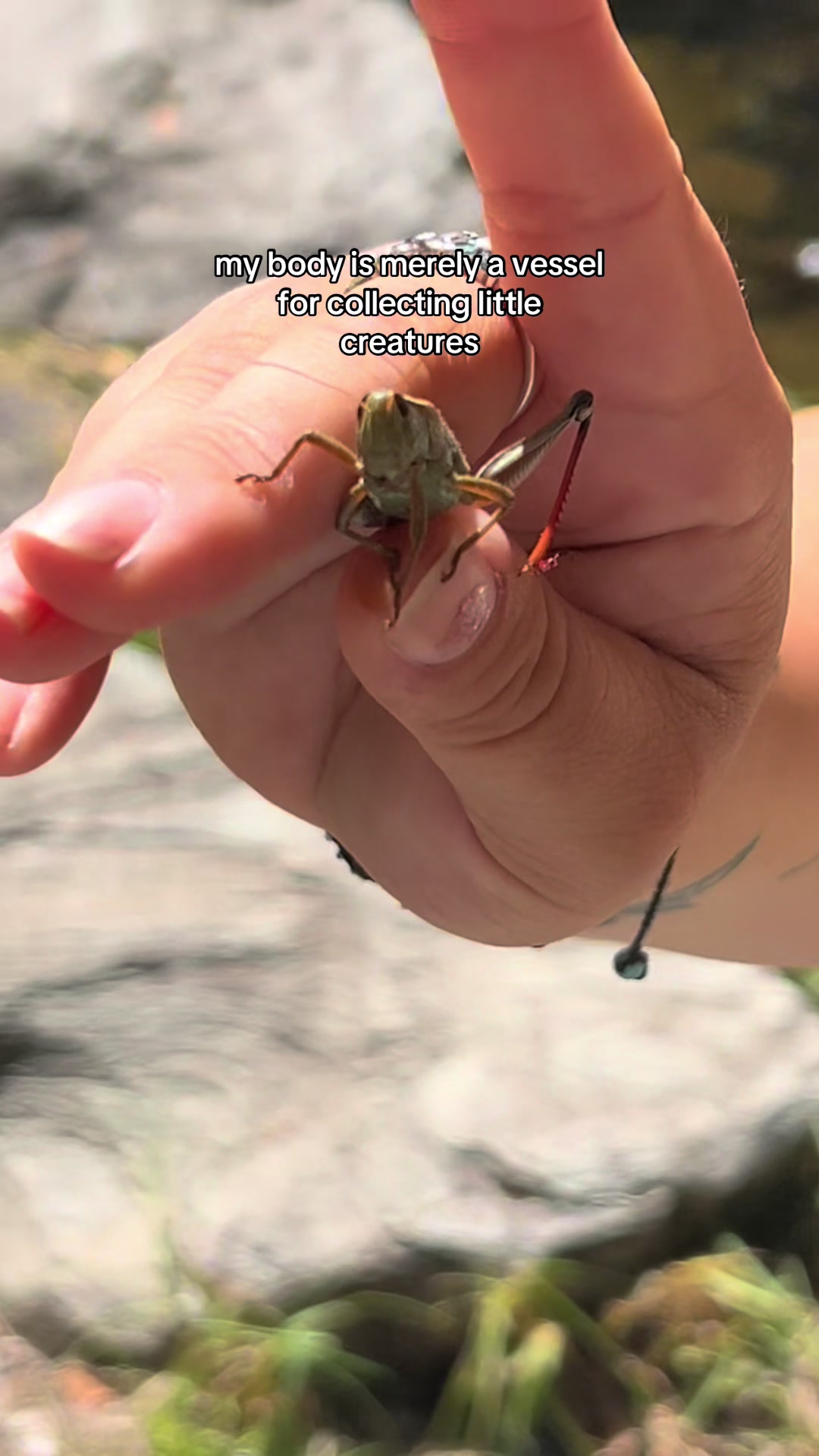 @〽️ina 🧿🕷️
