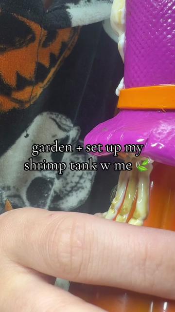 @finn