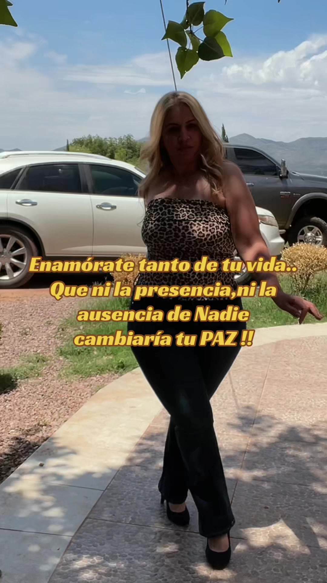 @PALOMA_NEGRA5