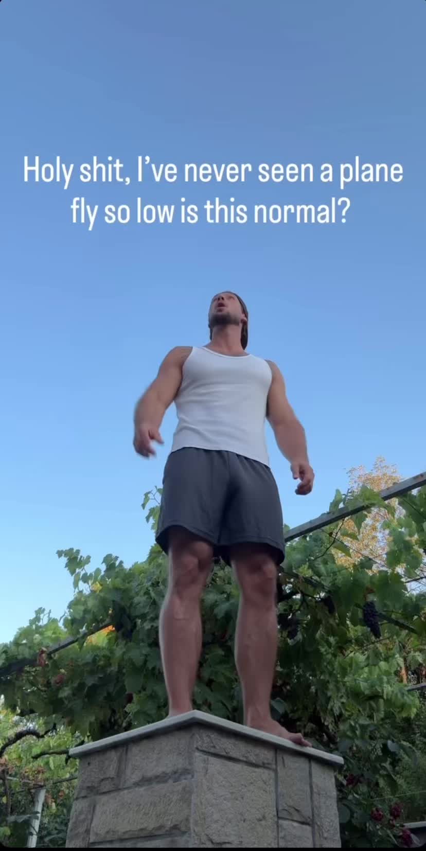 @Adonisarchive