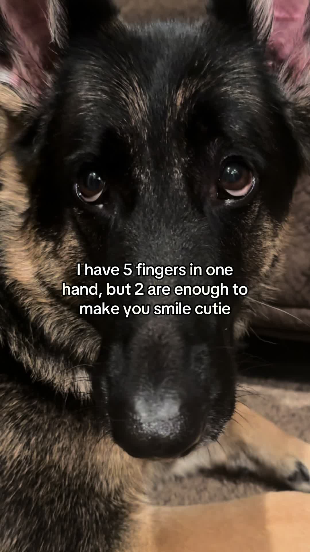@Bhris